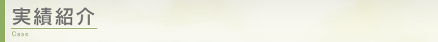 実績紹介
